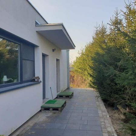 Maly Apartament W Zieleni Blisko Jeziora 스로다 비코폴스카 외부 사진