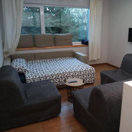Maly Apartament W Zieleni Blisko Jeziora 스로다 비코폴스카 외부 사진