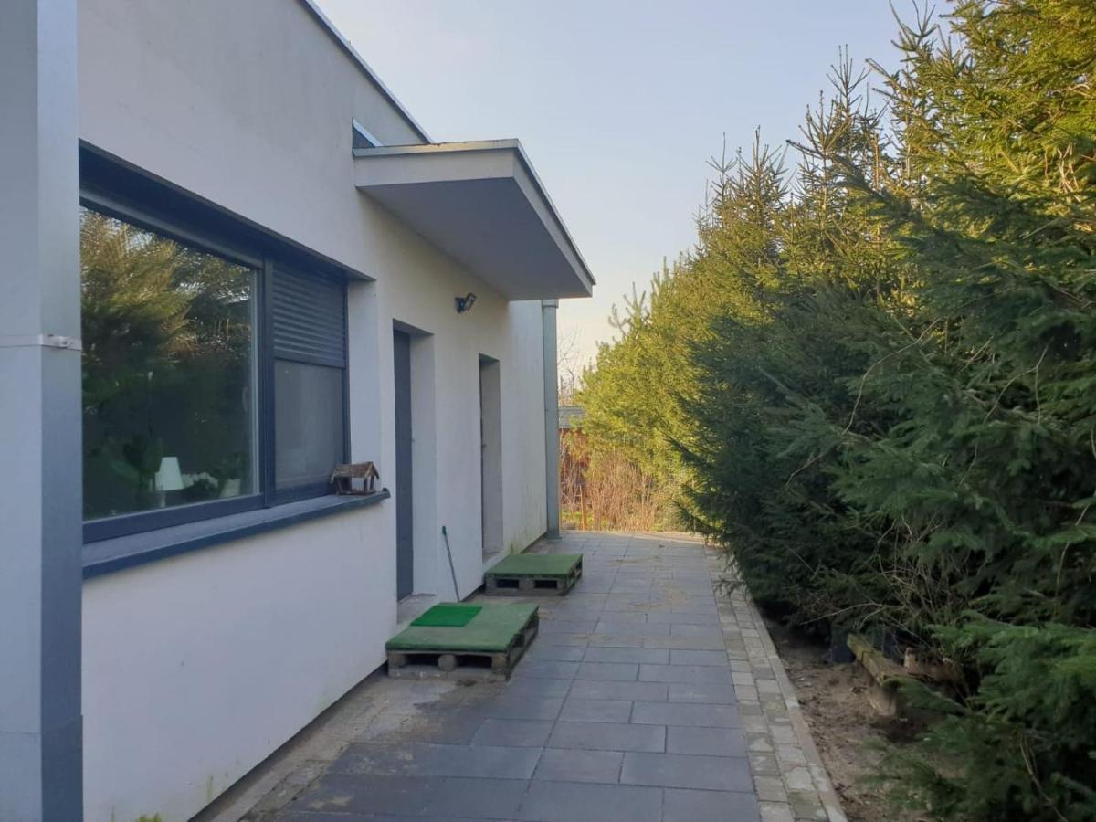 Maly Apartament W Zieleni Blisko Jeziora 스로다 비코폴스카 외부 사진